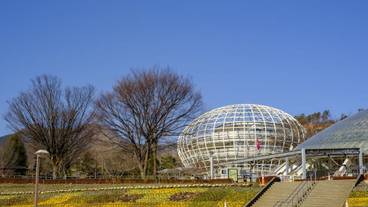 観光スポット / 8