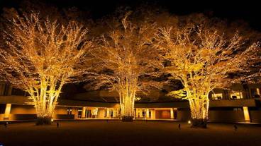 施設の敷地 / 16