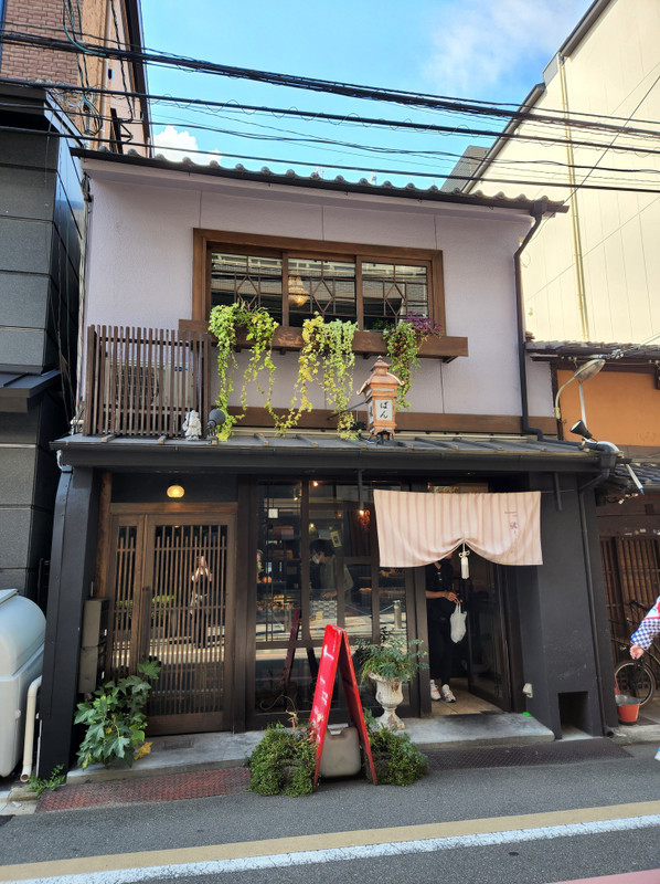 マッシュキョウト / 3