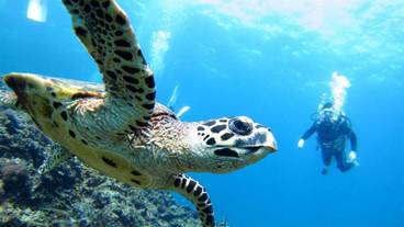 アクティビティ / 1