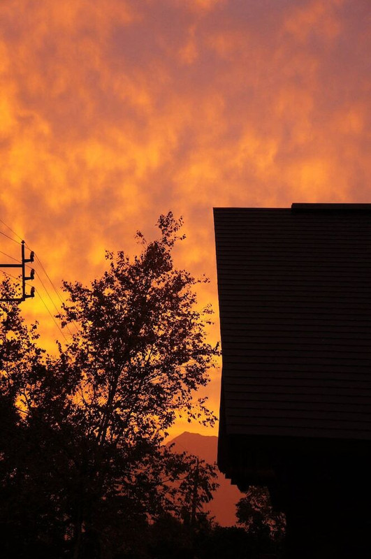 マウンテン ビュー