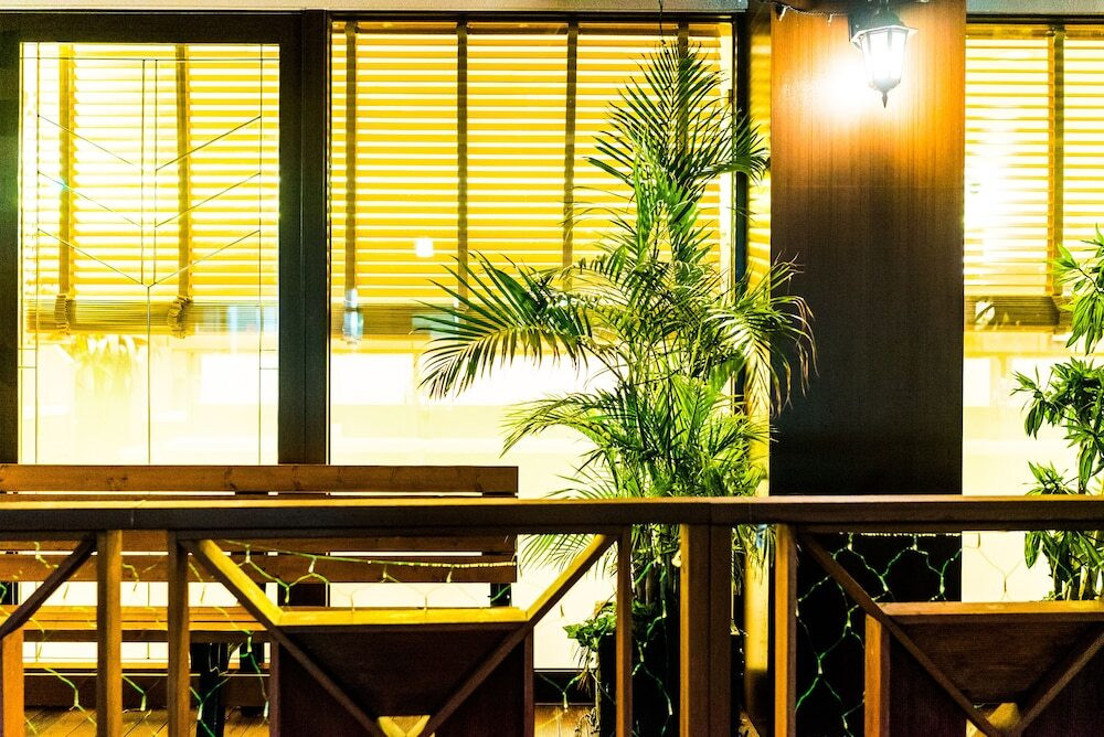 テラス / パティオ