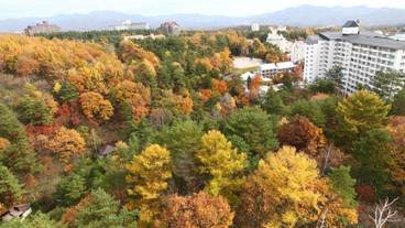 マウンテン ビュー / 4