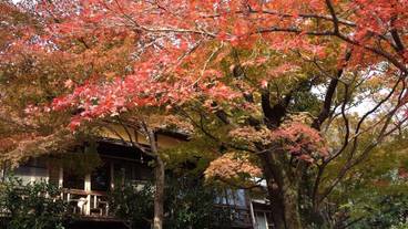 部屋からの景観 / 10