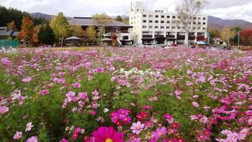 施設からの眺望 / 26