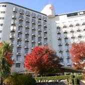 四季の湯温泉 ホテルヘリテイジ 熊谷（埼玉県 リゾートホテル） / 5