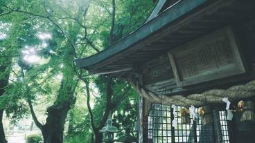 ランド ビュー / 17