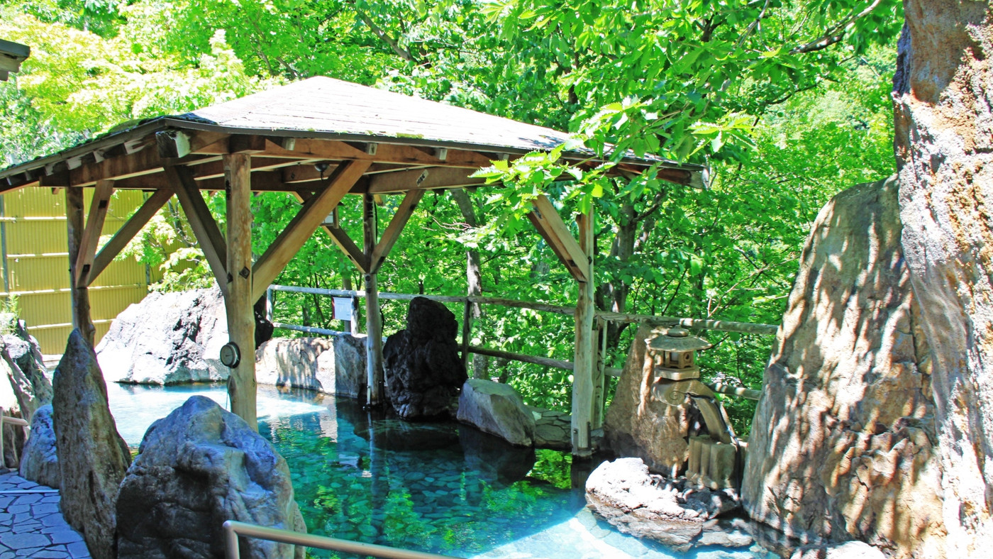 野趣溢れる露天風呂から峡谷を一望！4003479