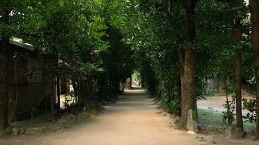 ランド ビュー / 10