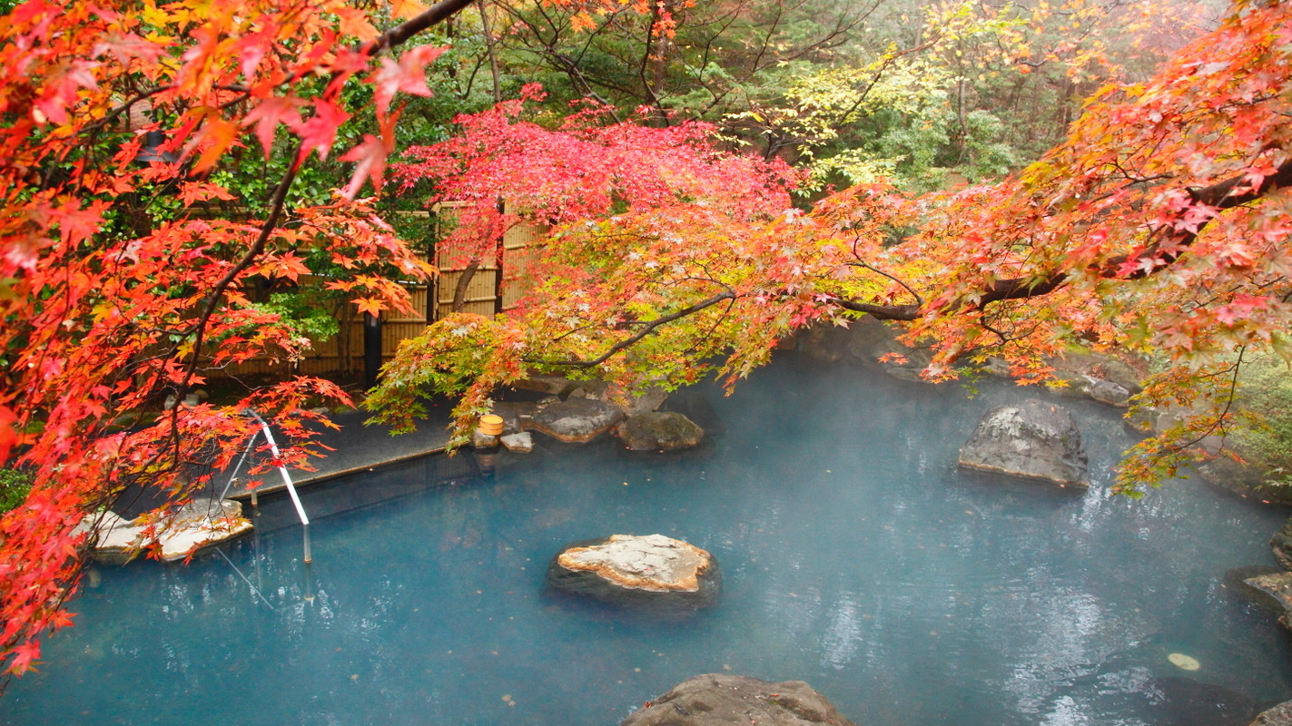 大露天風呂、紅葉