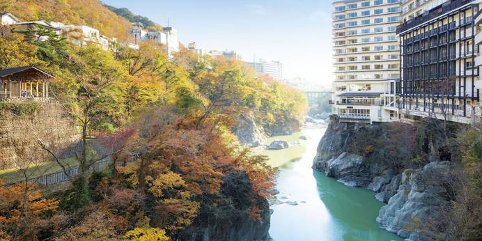 鬼怒川温泉 鬼怒川プラザホテル（栃木県 旅館） / 1