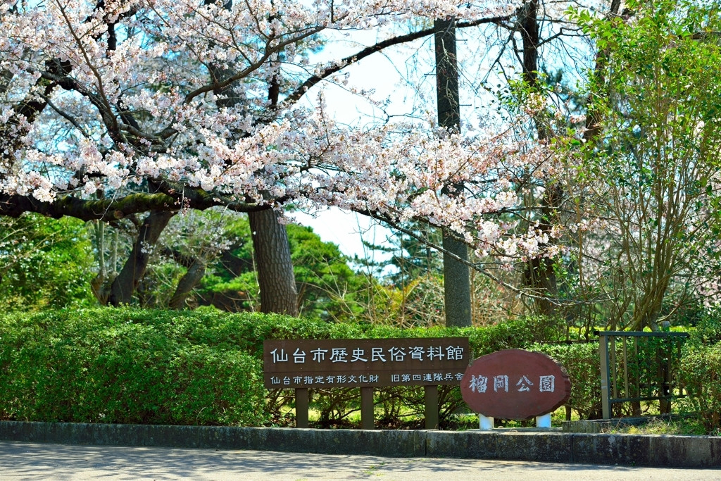 3.榴岡公園1559291