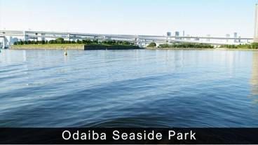 シティ ビュー / 36