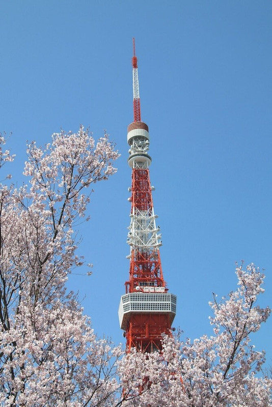 観光スポット