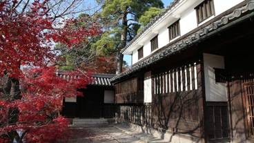 ランド ビュー / 19