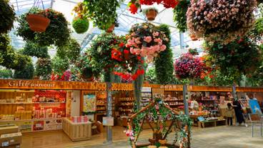 三島スカイウォーク スカイガーデン / 6