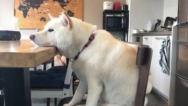 リビング エリア / 14