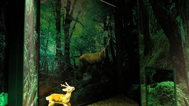 8階　森羅万象 / 7