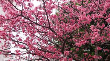 施設からの眺望 / 11