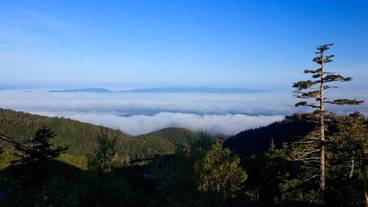 施設の敷地 / 22