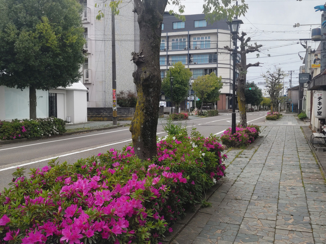 万松園通りからホテルをのぞむ