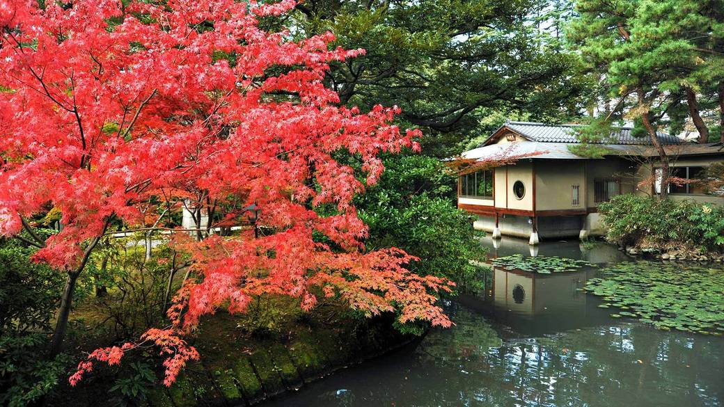 秋の松泉湖 紅葉 / 3