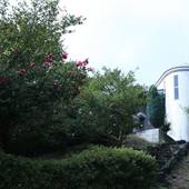 セント（scent）伊豆高原の丘の上に佇む癒し空間（静岡県 ペンション） / 4