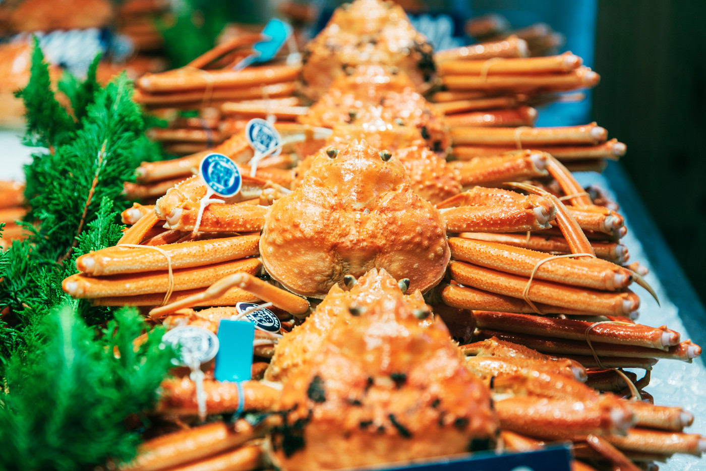 北陸に “冬グルメの王様” かにの季節がやってきた！2005339