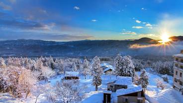 観光スポット / 5