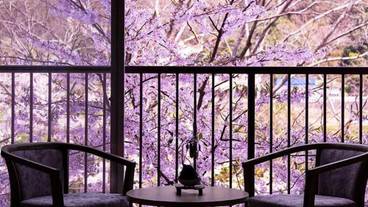 施設からの眺望 / 17