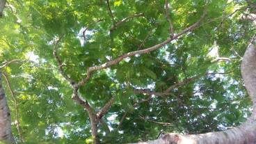 施設からの眺望 / 19