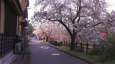 施設の敷地 / 10