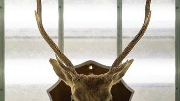 施設内の設備 / 7