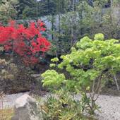 ホテル森の風箱根仙石原(神奈川県 リゾートホテル) / 2