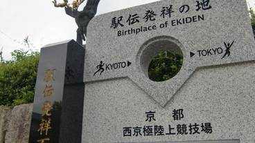 シティ ビュー / 7