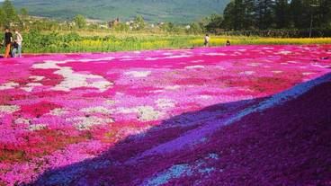 施設の敷地 / 10