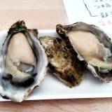 魚友(ウオトモ)