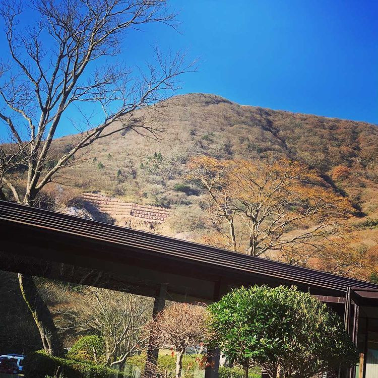 yuchiki309さんの写真 / 2