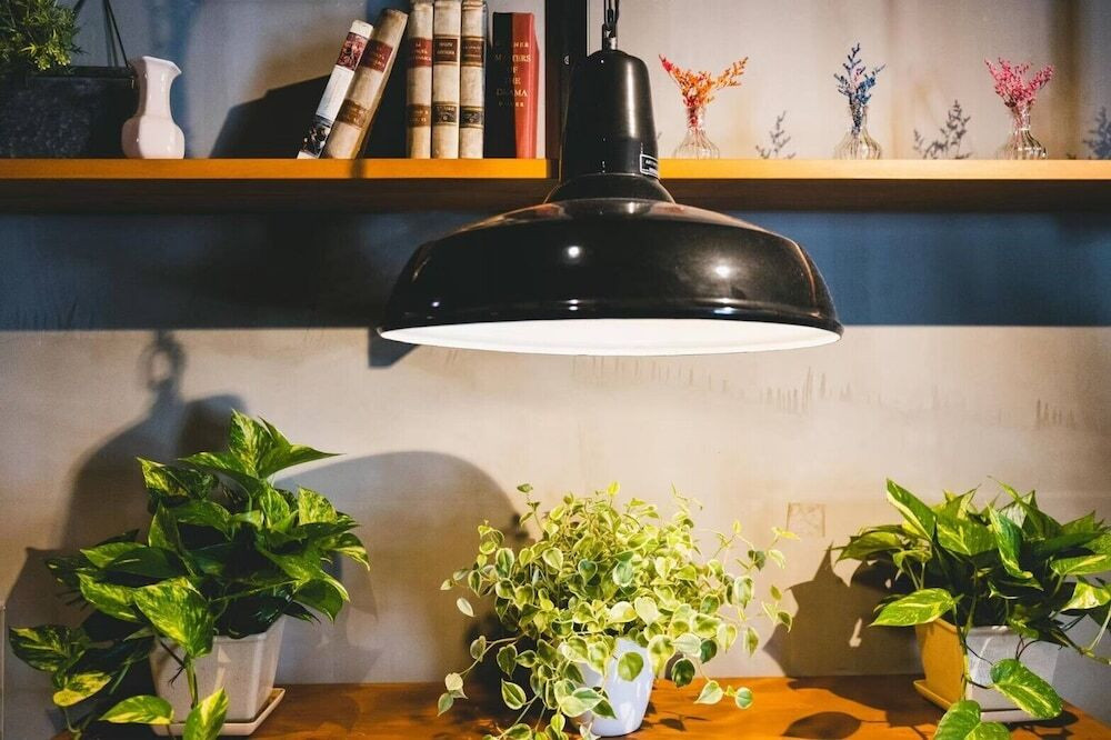 リビング エリア