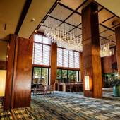 大江戸温泉物語 わんわんリゾート矢田屋松濤園（石川県 旅館） / 2