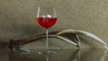 夕食 ワイン一例 / 12