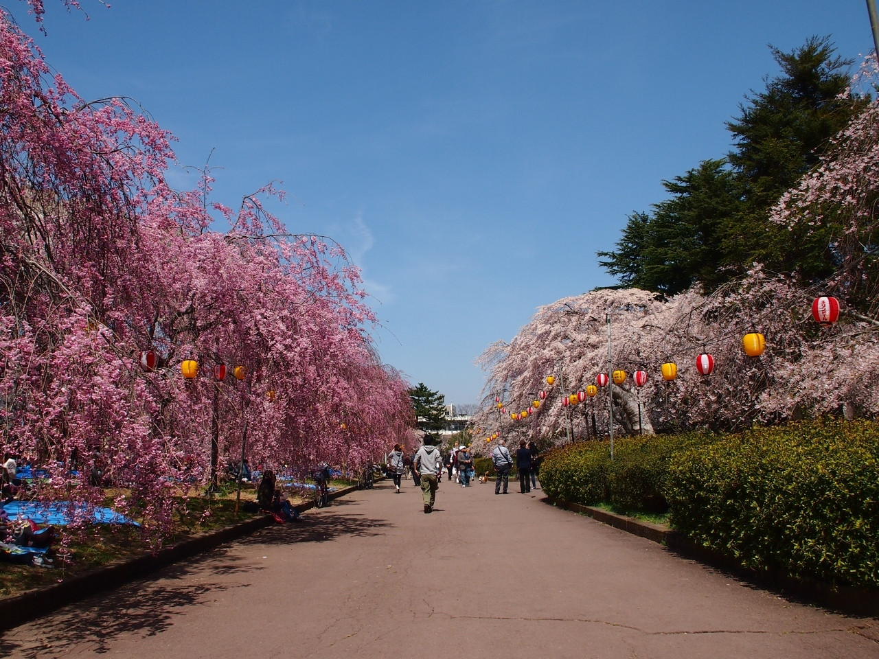 1.「榴岡公園（つつじがおかこうえん）」2846884