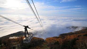 観光スポット / 18