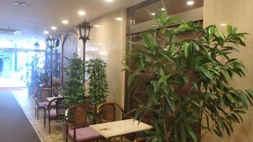 ロビーラウンジ / 11