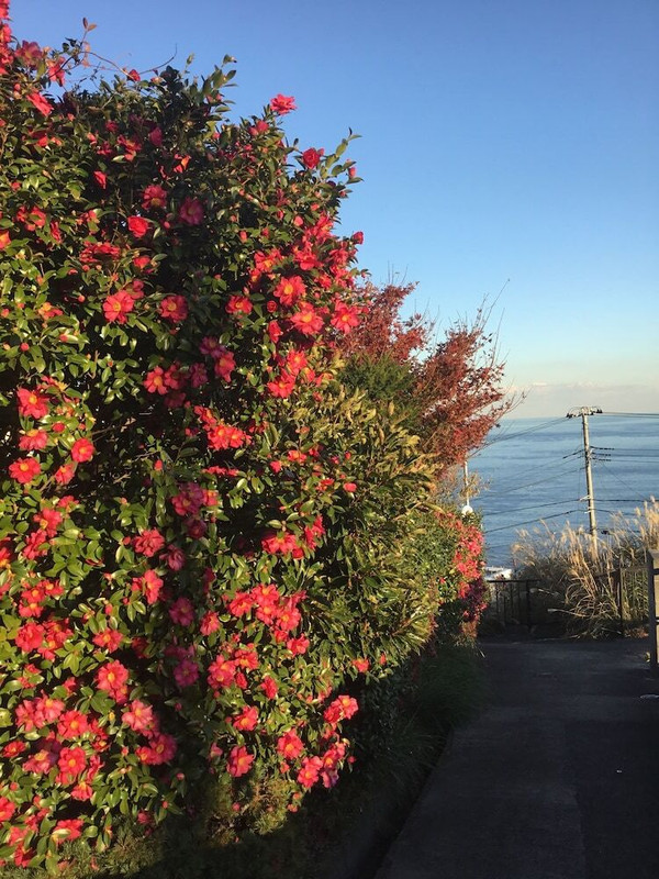 施設からの眺望