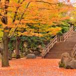 東京・朝さんぽ☆朝の時間を有意義に過ごしてみませんか？朝活におすすめ公園7選