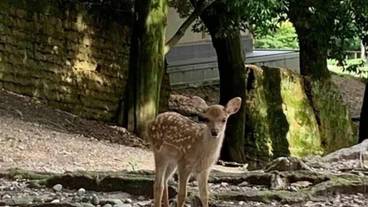 観光スポット / 5