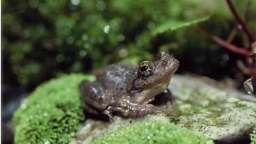 施設からの眺望 / 36