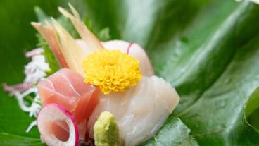 お食事 / 10