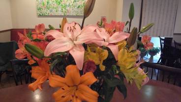 内装の詳細 / 16